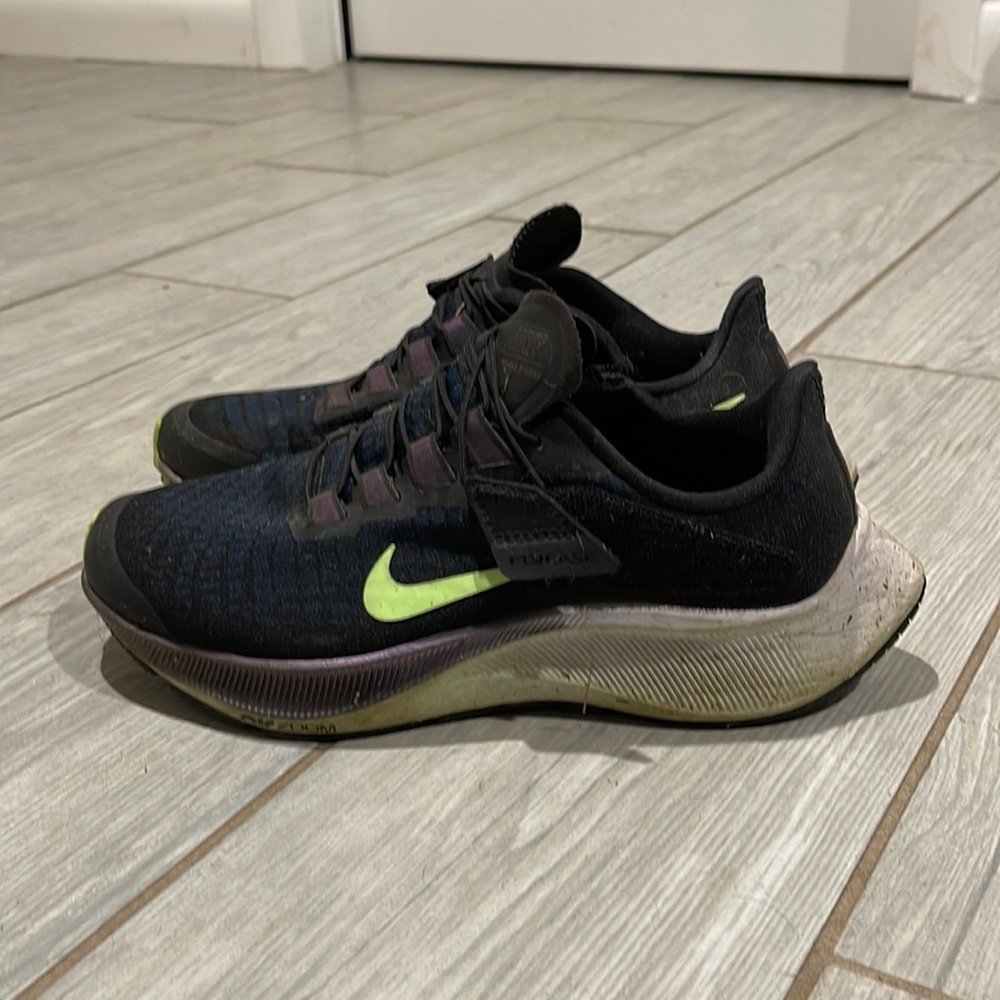 Nike Pegasus